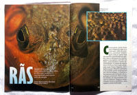 Ecologia e Desenvolvimento Magazine:<br />Article about frogs.