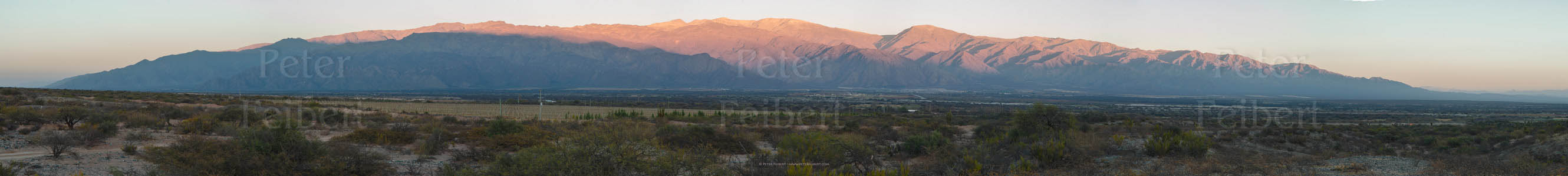 Early morning, environs of the town of Cafayate, Calchaquí valley, Salta, Argentina.