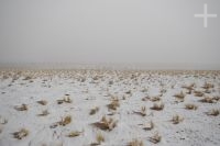El Altiplano (Puna) bajo nieve, cerca de Pocitos, provincia de Salta, Argentina