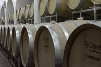 Wine casks in the Etchart winery ('bodega') cave, Cafayate, Salta, Argentina