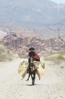 Horseback riding around Cafayate, Salta, Argentina