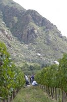 The "Fiesta de la Vendimia": grape harvest festival. Finca Las Nubes, Bodega Mounier, Cafayate, Salta, Argentina