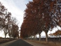 Access to the town of Cafayate, Salta, Argentina
