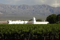 The "El Esteco" winery, Cafayate, province of Salta, Argentina
