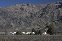 The Felix Lavaque winery, Cafayate, province of Salta, Argentina