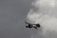 Andean Condor (Vultur gryphus), gliding around the Abra El Acay, province of Salta, Argentina