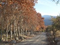 Secondary road on the outskirts of Cafayate, Salta, Argentina