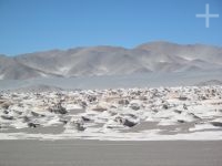 El campo de piedra pome de El Peñón, Catamarca, Argentina