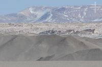 El campo de piedra pome de El Peñón, en el Altiplano (Puna) de Catamarca, Argentina