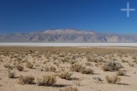La Laguna de Guayatayoc, en el Altiplano andino, provincia de Jujuy, Argentina
