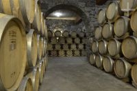 A cava da vinícola Lavaque, Cafayate, Salta, Argentina