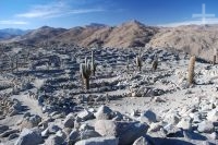 Las ruinas prehispánicas de Santa Rosa de Tastil, provincia de Salta, Argentina, Altiplano andino