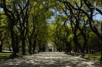 Partial view of the San Martin square, Buenos Aires, Argentina