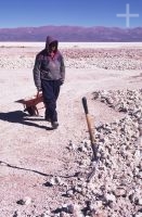 Minero en lavra de bórax, Salar de Olaroz, Jujuy, Argentina, en el Altiplano andino, Cordillera de los Andes