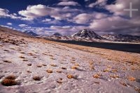 Miscanti Lagoon, Chile, the Andean Altiplano (high plateau), the Andes Cordillera
