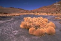 El Altiplano (Puna) en invierno (agosto), hielo, Argentina, Cordillera de los Andes