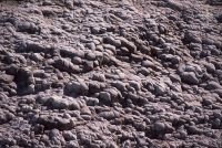 Lava, Jujuy, Argentina, en el Altiplano andino, Cordillera de los Andes