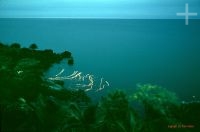 Ensaio: INFINITOS INSTANTES. Longa exposição noturna. Pescadores. Ilhabela, SP, Brasil