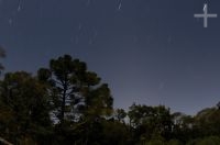 Araucária angustifolia à noite, Serra Negra, Itamonte, MG