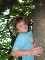 Thomas Feibert tree climbing, Rio de Janeiro, Brazil