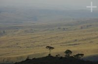 La Gran Sabana, sur de la Venezuela.
