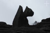 Rocas en el Monte Roraima, Gran Sabana, sur de la Venezuela.