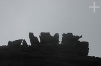Rocas en el Monte Roraima, Gran Sabana, sur de la Venezuela.