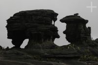 Rocas en el Monte Roraima, Gran Sabana, sur de la Venezuela.