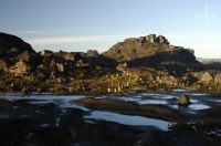 Paisaje en el Monte Roraima, Gran Sabana, sur de la Venezuela.