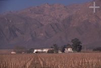 Winery, Cafayate, province of Salta, Argentina, the Andes Cordillera