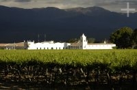 A vinícola El Esteco, Cafayate, Salta, Argentina