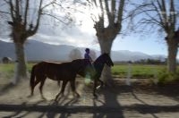 Horseback riding, Cafayate, Salta, Argentina