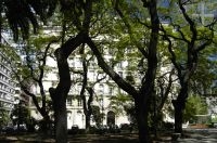 Partial view of the San Martin square, Buenos Aires, Argentina