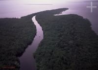 Un 'igarapé' en el Rio Negro, Amazonia, Brasil