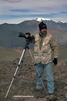 Peter Feibert